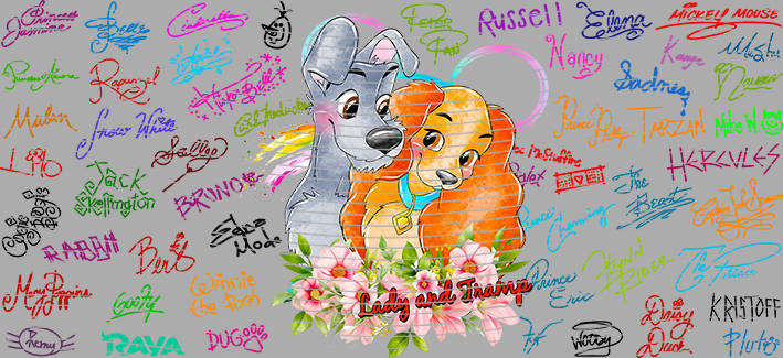 16oz Disney style-D-1316